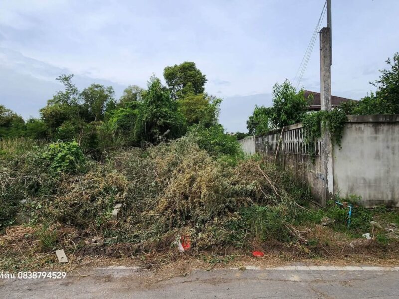 ขายด่วนทีดินบ้านไหม่ 394 ตารางวา ติดถนนลาดยางเคหะ-บ้านใหม่ 43 บางใหญ่ นนทบุรี