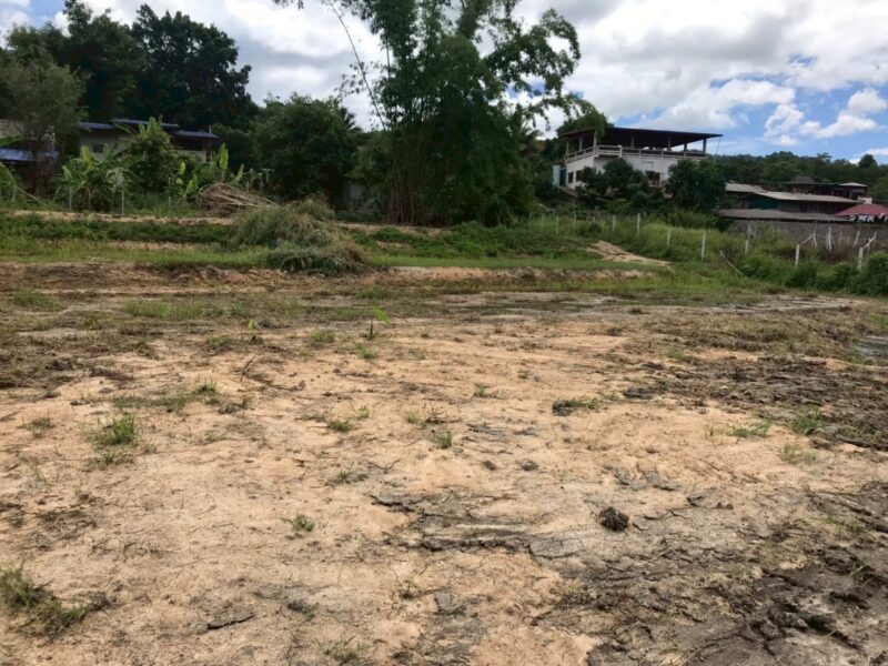ขายที่ดินเชียงใหม่