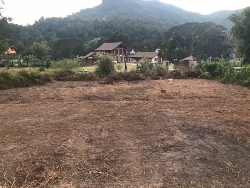 ขายที่ดินเชียงใหม่