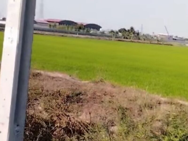 ขายที่ดิน 61 ไร่ พื้นที่สีม่วง เขตอุตสาหกรรม จ.นนทบุรี