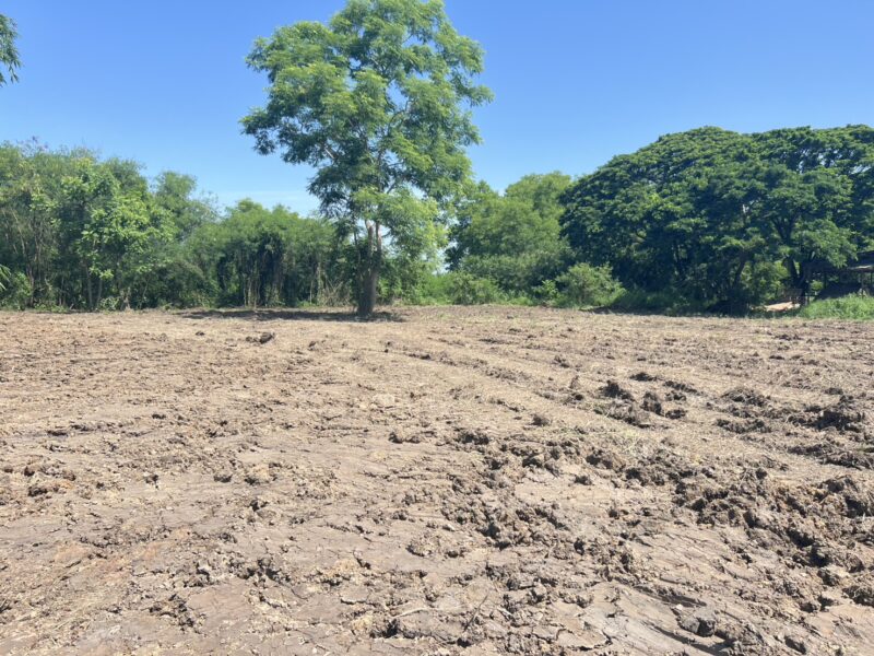 ที่ดินเปล่า ติดถนน ตำบลพืชอุดม อำเภอลำลูกกา จังหวัดปทุมธานี
