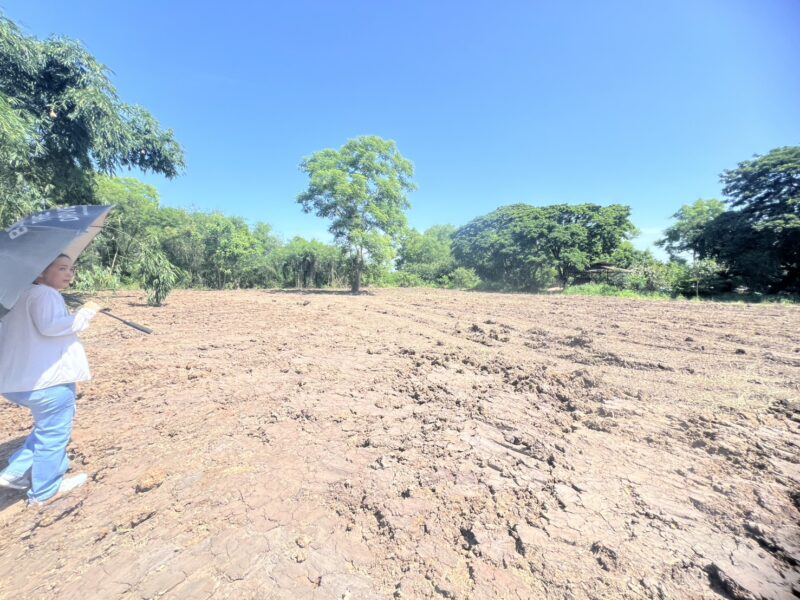 ที่ดินเปล่า ติดถนน ตำบลพืชอุดม อำเภอลำลูกกา จังหวัดปทุมธานี