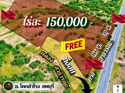 ที่โคกสำโรง ลพบุรี🔥ไร่ละ 150,000🔥ติดลาดยาง มีไฟ ใกล้ ถ.205 พหล และบายพาสสายใหม่ ขายยก 28 ไร่กว่า แถมที่งอกฟรีๆ ถึง 4 ไร่‼️โอนฟรี‼️