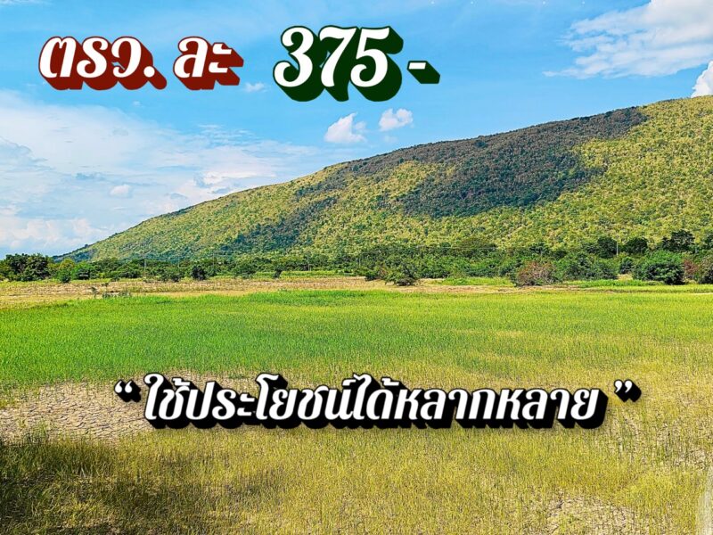 ที่โคกสำโรง ลพบุรี🔥ไร่ละ 150,000🔥ติดลาดยาง มีไฟ ใกล้ ถ.205 พหล และบายพาสสายใหม่ ขายยก 28 ไร่กว่า แถมที่งอกฟรีๆ ถึง 4 ไร่‼️โอนฟรี‼️
