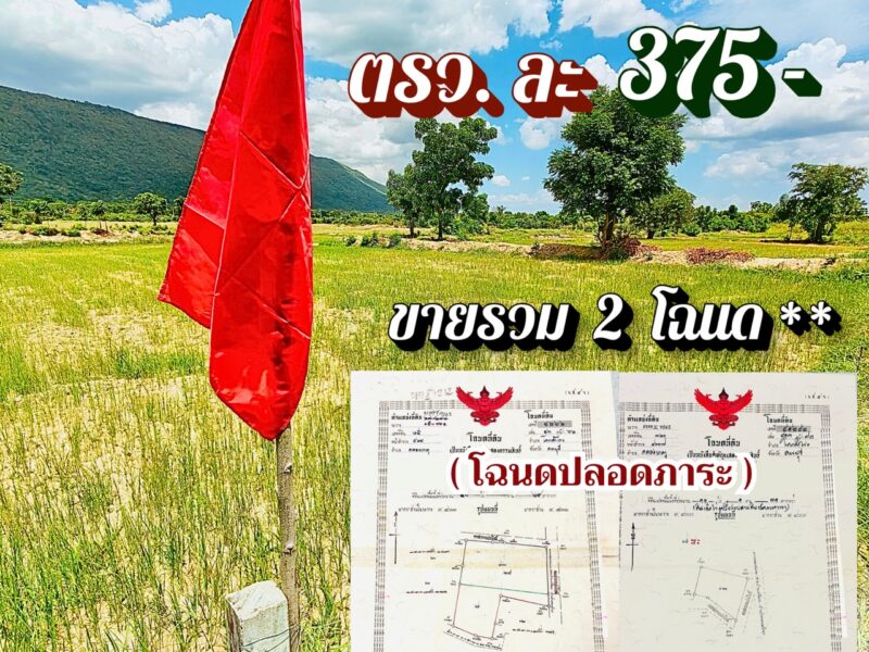 ที่โคกสำโรง ลพบุรี🔥ไร่ละ 150,000🔥ติดลาดยาง มีไฟ ใกล้ ถ.205 พหล และบายพาสสายใหม่ ขายยก 28 ไร่กว่า แถมที่งอกฟรีๆ ถึง 4 ไร่‼️โอนฟรี‼️