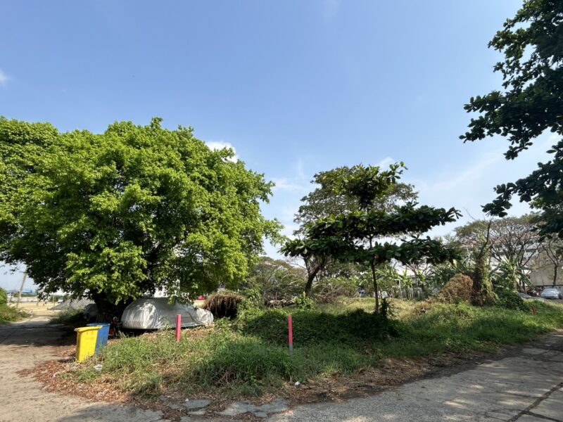 ขายที่ดิน 332 ตร.ว. ประเวศ อ่อนนุช55/1 ใกล้รถไฟฟ้าสายสีเหลือง