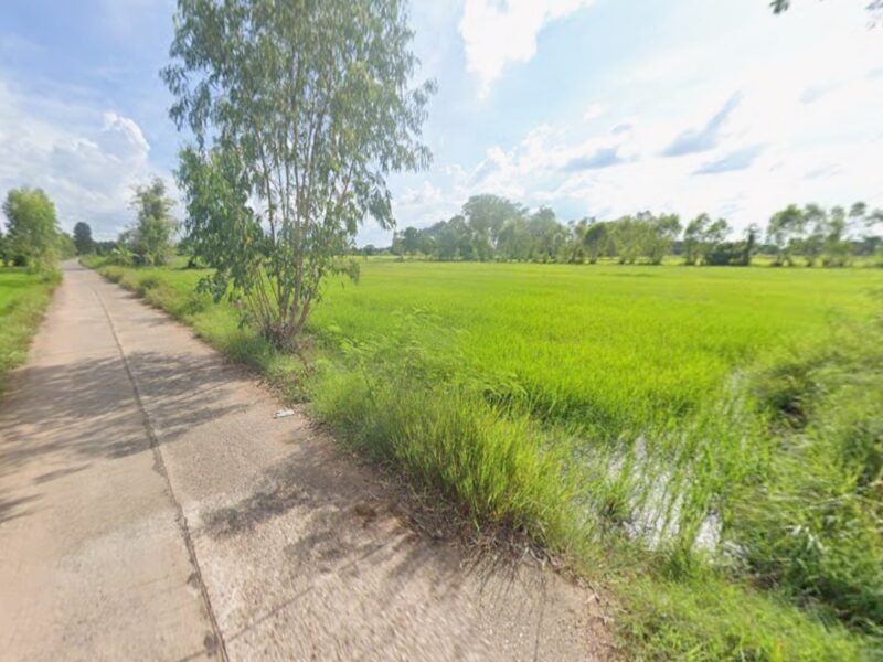 ที่ดินเปล่ากาฬสินธุ์ ติดถนนทำเลดี เนื้อที่ 15 ไร่กว่า ราคาคุยกันได้