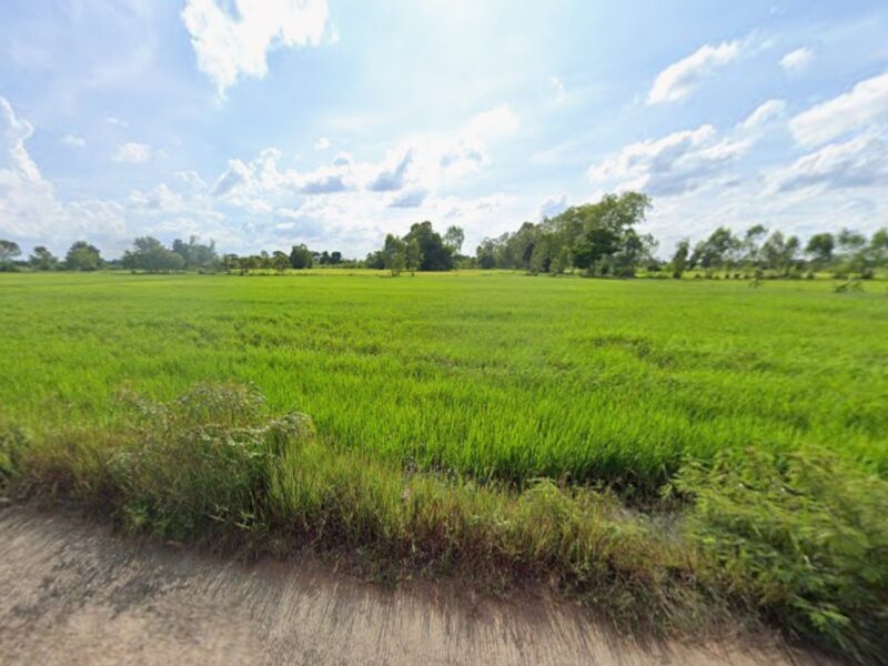 ที่ดินเปล่าแปลงใหญ่ ติดถนน 2 ด้าน ทำเลดี จ.กาฬสินธุ์