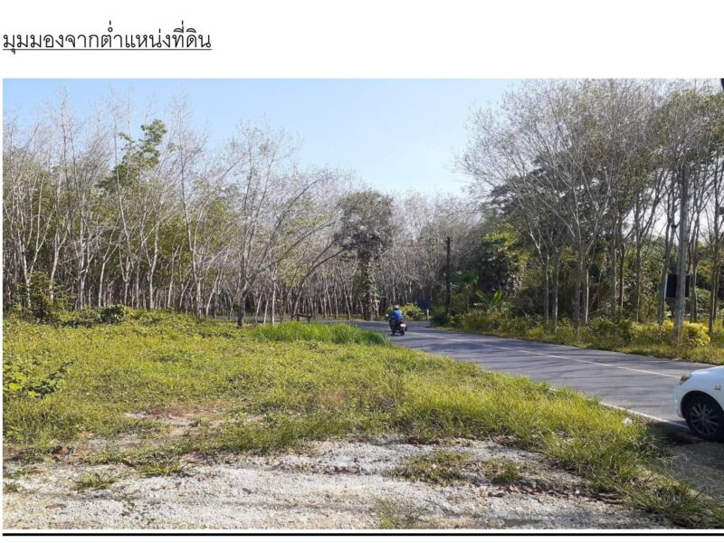 ขายที่ดินเปล่า บ้านป่าครองชีพ 24 ไร่ 3 งาน 1.6 ตรว.ต.เทพกระษัตรี อ.ถลาง จ.ภูเก็ต เอกสาร โฉนด นส.4 จ.