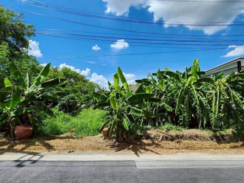 ขายด่วนที่ดิน 102 ตรว ติดถนนคอนกรีต ถมแล้ว ซ.บรมราชชนนี 76 ตลิ่งชัน กทม.