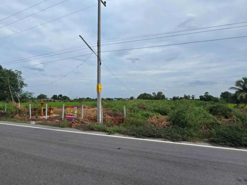 ขายด่วนที่ดินใกล้วัดไผ่หูช้าง 6-3-9 ไร่ ติดถนนลาดยางสาธารณะ บางเลน นครปฐม