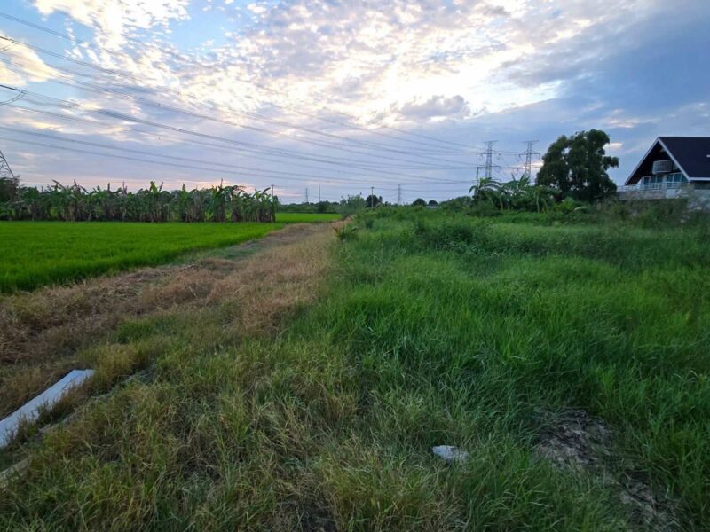ขายด่วนที่ดินใกล้รร.บ้านคลองฝรั่ง 355 ตรว ติดถนนสาธารณะ ถมแล้ว ซ.รร.บ้านคลองฝรั่ง ไทรน้อย นนทบุรี
