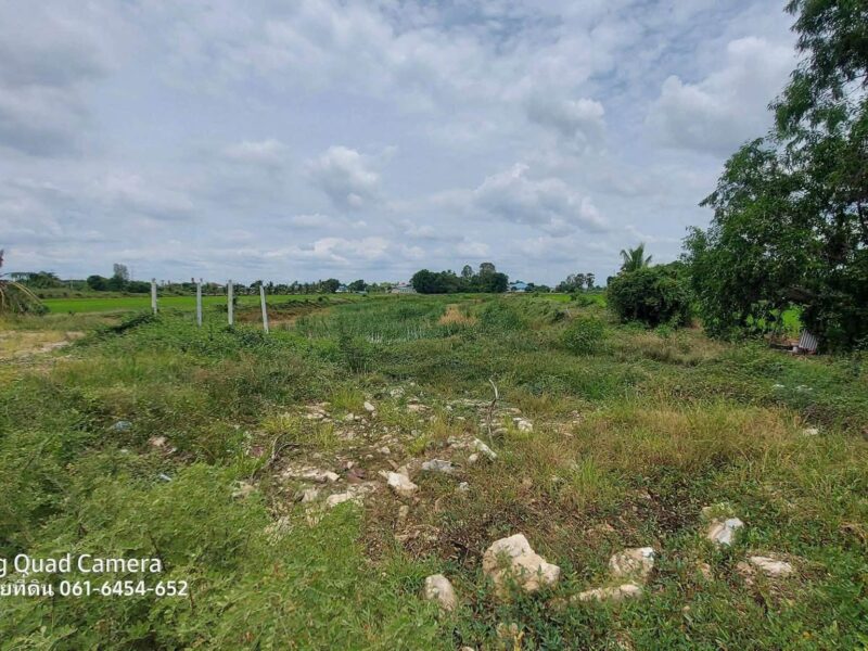 ขายด่วนที่ดินใกล้วัดไผ่หูช้าง 6-3-9 ไร่ ติดถนนลาดยางสาธารณะ บางเลน นครปฐม