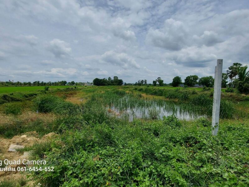 ขายด่วนที่ดินใกล้วัดไผ่หูช้าง 6-3-9 ไร่ ติดถนนลาดยางสาธารณะ บางเลน นครปฐม