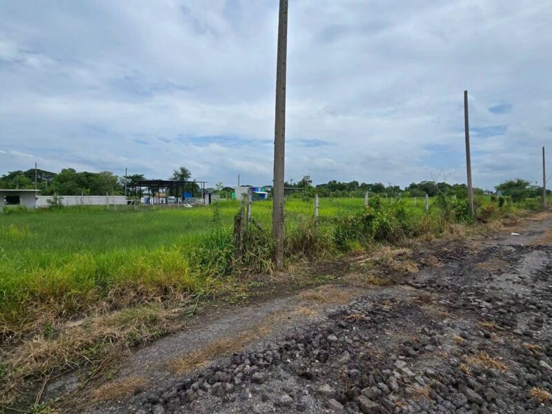 ขายด่วนที่ดิน 300 ตรว ติดถนนสาธารณะ 2 ด้าน ซ.บุญไพศาล1 คลอง 9 หนองเสือ ปทุมธานี