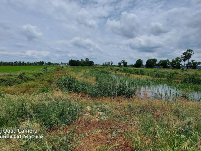 ขายด่วนที่ดินใกล้วัดไผ่หูช้าง 6-3-9 ไร่ ติดถนนลาดยางสาธารณะ บางเลน นครปฐม