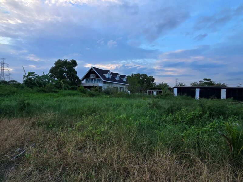 ขายด่วนที่ดินใกล้รร.บ้านคลองฝรั่ง 355 ตรว ติดถนนสาธารณะ ถมแล้ว ซ.รร.บ้านคลองฝรั่ง ไทรน้อย นนทบุรี