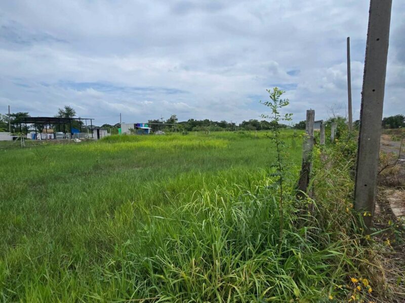 ขายด่วนที่ดิน 300 ตรว ติดถนนสาธารณะ 2 ด้าน ซ.บุญไพศาล1 คลอง 9 หนองเสือ ปทุมธานี