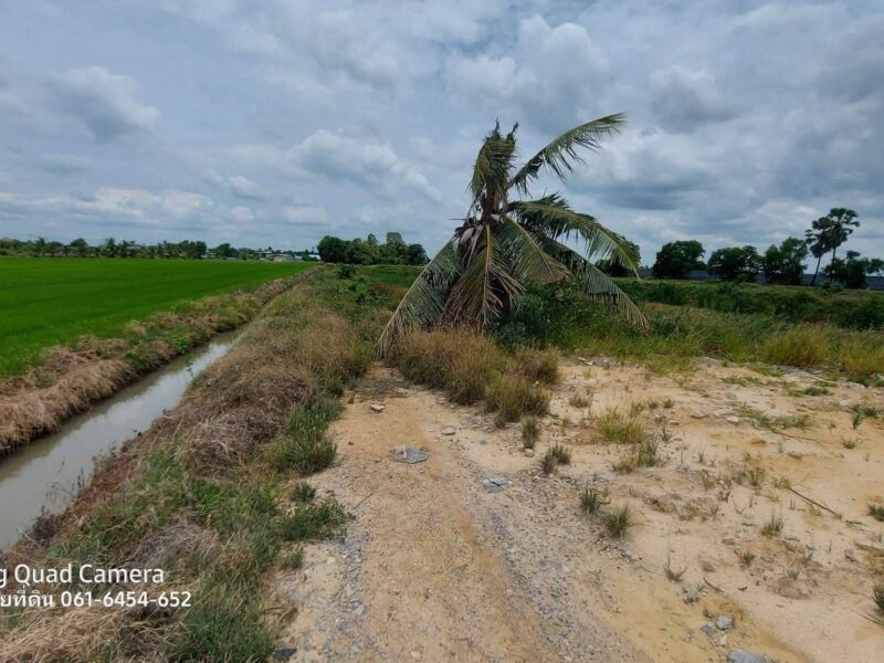 ขายด่วนที่ดินใกล้วัดไผ่หูช้าง 6-3-9 ไร่ ติดถนนลาดยางสาธารณะ บางเลน นครปฐม