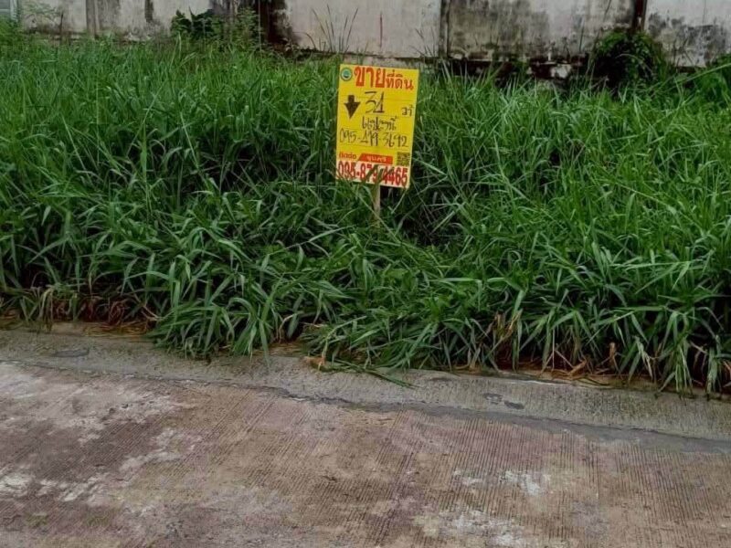 ขายถูกที่ดินลำลูกกา 34 ตรว ติดถนนคอนกรีตสาธารณะ ซ.เมตตา ต.บึงคำพร้อย จ.ปทุมธานี