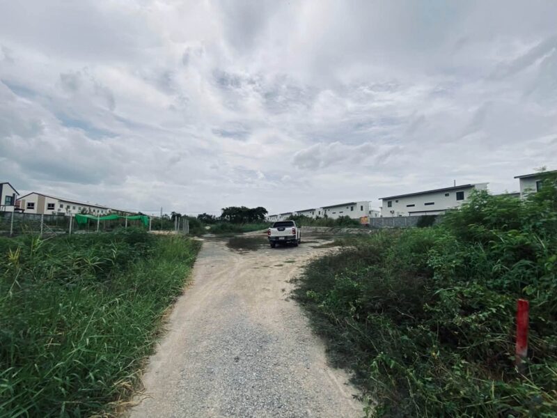 ขายที่ดินใกล้วัดคลองตาคล้าย 389 ตรว ติดถนนหินคลุกสาธารณะ ถมแล้ว ซ.วัดคลองตาคล้าย ไทรน้อย นนทบุรี