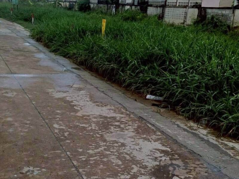 ขายถูกที่ดินลำลูกกา 34 ตรว ติดถนนคอนกรีตสาธารณะ ซ.เมตตา ต.บึงคำพร้อย จ.ปทุมธานี