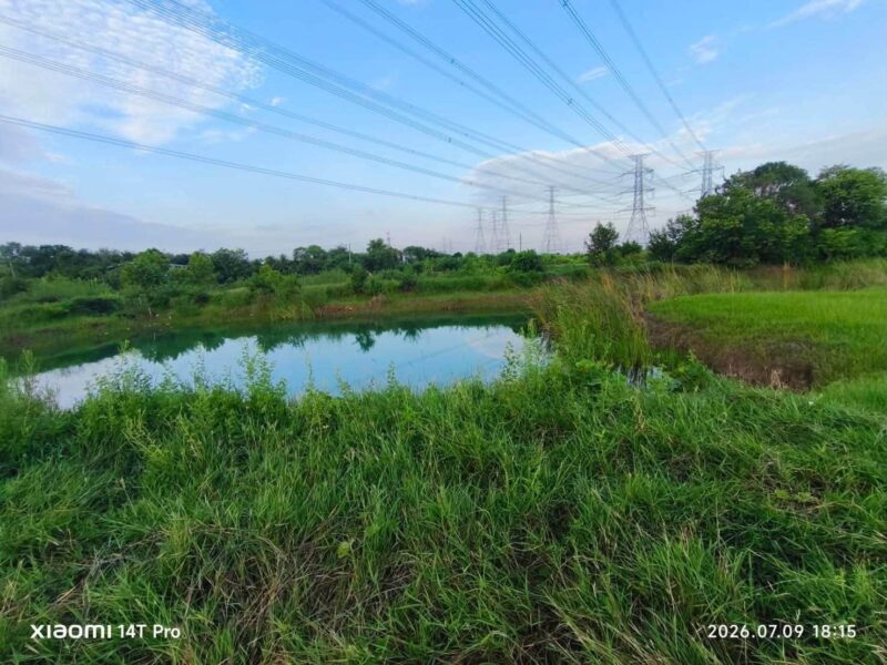 ขายด่วนที่ดิน 2-2-49 ไร่ ติดถนนสาธารณะ ถมแล้ว ซ.โรงน้ำพริก ไทรน้อย นนทบุรี