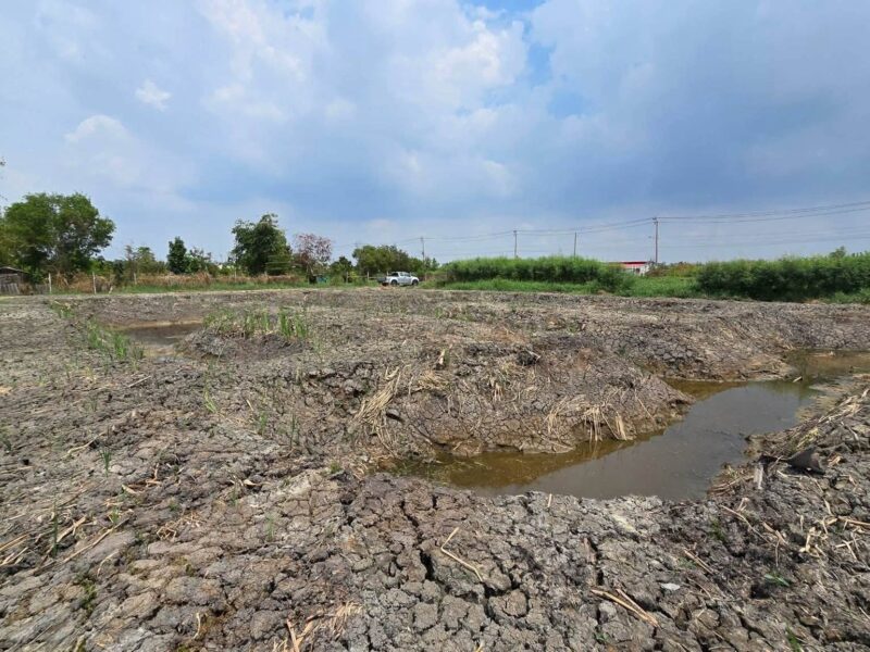ขายด่วนที่ดินบางเสาธง 400 ตรว เหมาะลงทุน ทางหลวงชนบท3047 บางพลี สมุทรปราการ