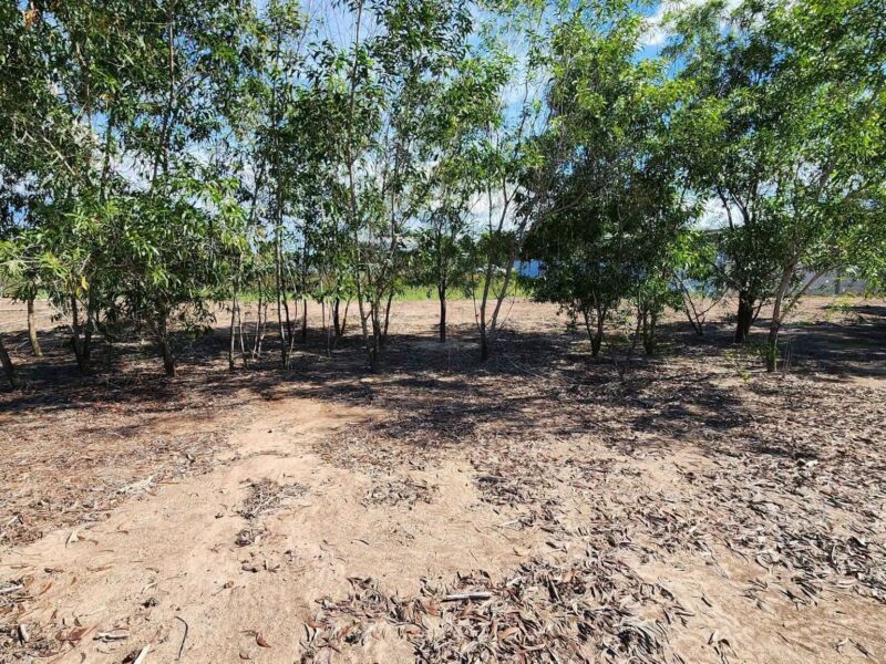 ขายด่วนที่ดินเลียบคลองโต๊ะใหม่ 600 ตรว ถมแล้ว ต.บางคูรัด อ.บางบัวทอง จ.นนทบุรี
