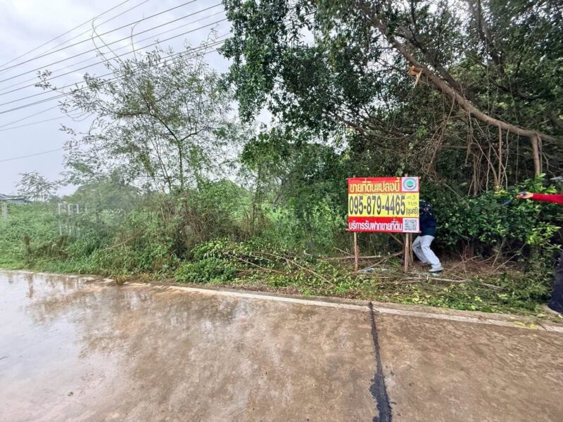 ขายด่วนที่ดินใกล้วัดธรรมกาย 200 ตรว ติดถนน 2 ด้าน ซ.คลองสาม 11/5,11/7 อ.คลองหลวง จ.ปทุมธานี