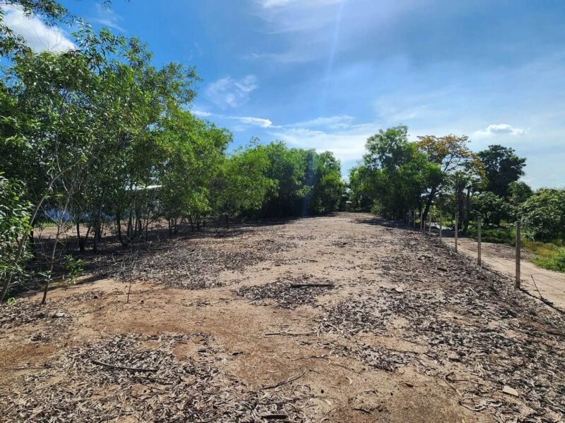 ขายด่วนที่ดินเลียบคลองโต๊ะใหม่ 600 ตรว ถมแล้ว ต.บางคูรัด อ.บางบัวทอง จ.นนทบุรี