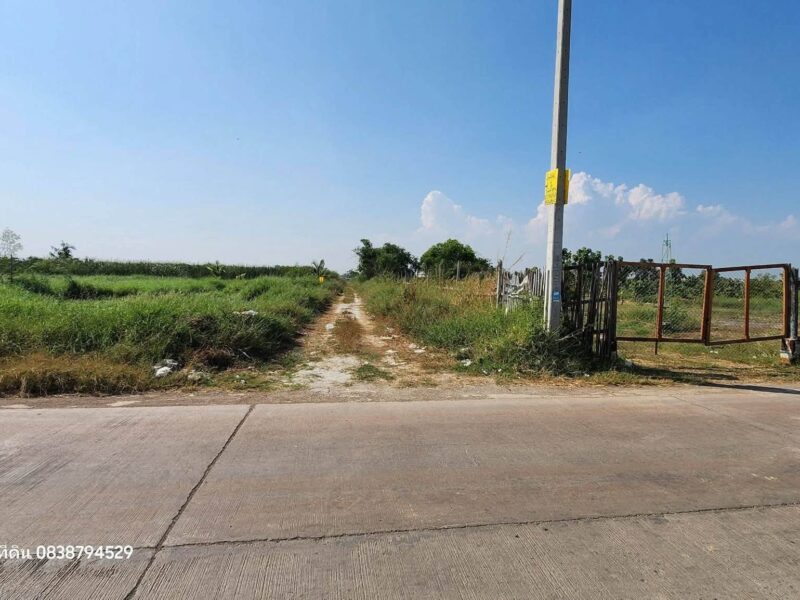 ขายด่วนที่ดินบางเสาธง 400 ตรว เหมาะลงทุน ทางหลวงชนบท3047 บางพลี สมุทรปราการ