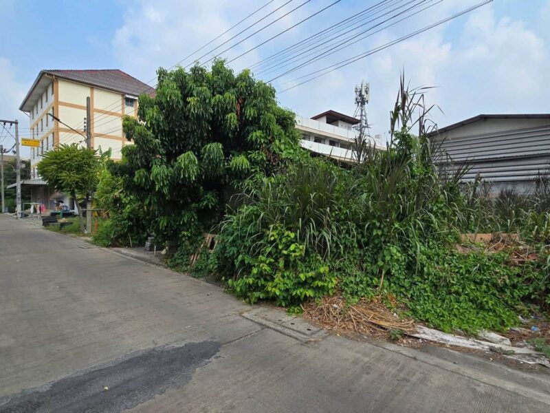 ขายด่วนที่ดิน 50 ตรว ติดถนนคอนกรีต พุทธมณฑลสาย 4 กระทุ่มแบน สมุทรสาคร