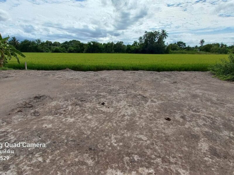 ขายด่วนที่ดินใกล้รร.บ้านคลองฝรั่ง 200 ตรว ติดถนนสาธารณะ ถมแล้ว ไทรน้อย นนทบุรี