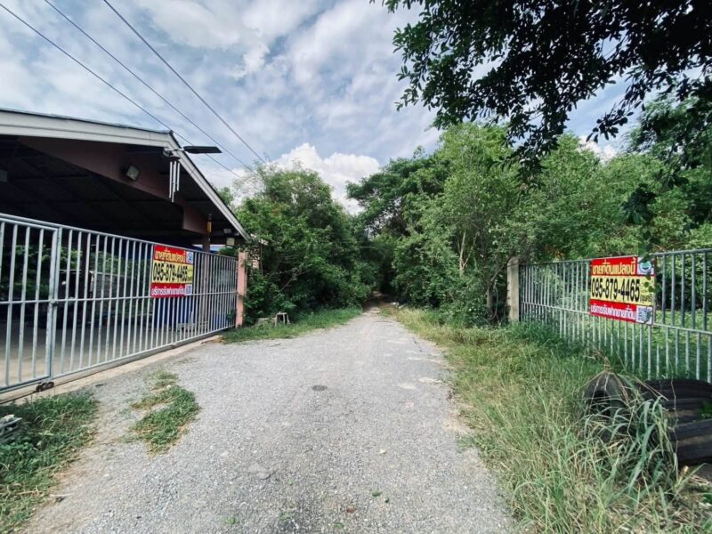 ขายถูกที่ดิน 410 ตรว แถมบ้านสวนฟรี ติดถนนสาธารณะ โครงการสวนเกษตรนนทบุรี ต.ราษฎร์นิยม อ.ไทรน้อย จ.นนทบุรี