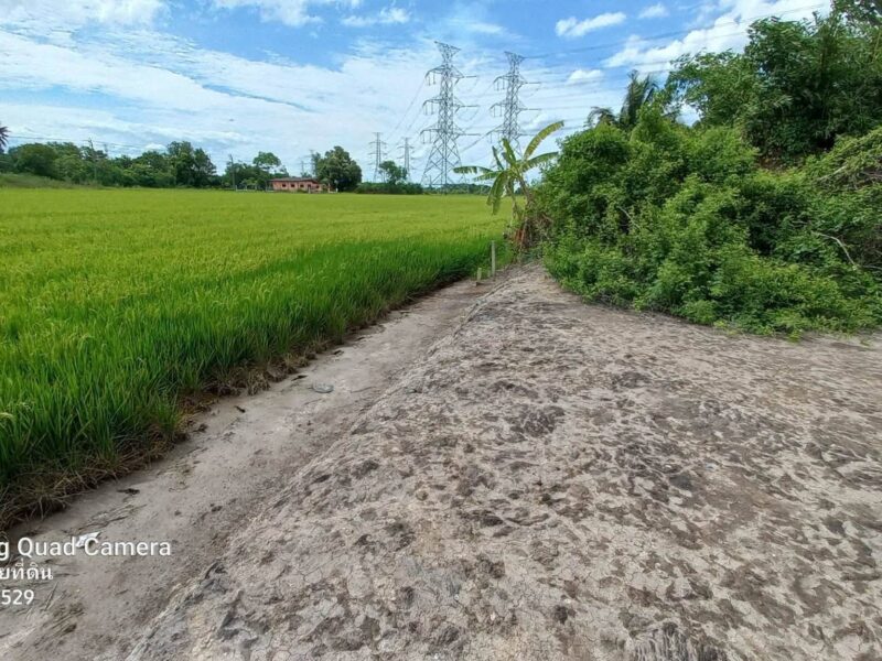 ขายด่วนที่ดินใกล้รร.บ้านคลองฝรั่ง 200 ตรว ติดถนนสาธารณะ ถมแล้ว ไทรน้อย นนทบุรี