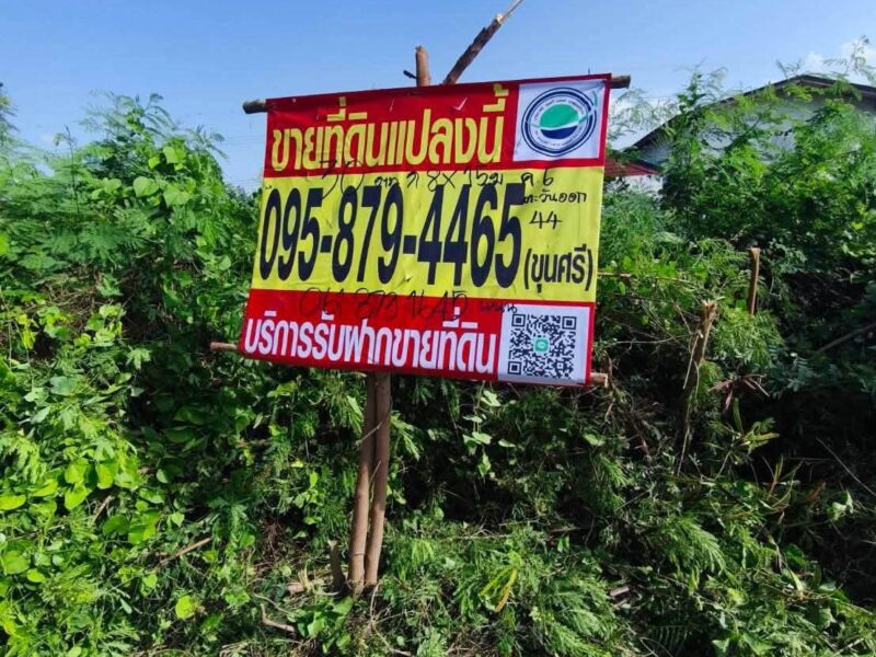 ขายด่วนที่ดินคลองหก 30 ตรว ติดถนนสาธารณะ ซ.คลองหกตะวันออก 44 คลองหลวง ปทุมธานี