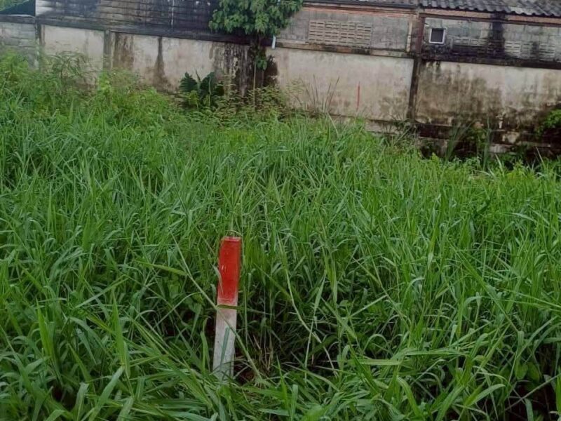 ขายถูกที่ดินลำลูกกา 34 ตรว ติดถนนคอนกรีตสาธารณะ ซ.เมตตา ต.บึงคำพร้อย จ.ปทุมธานี