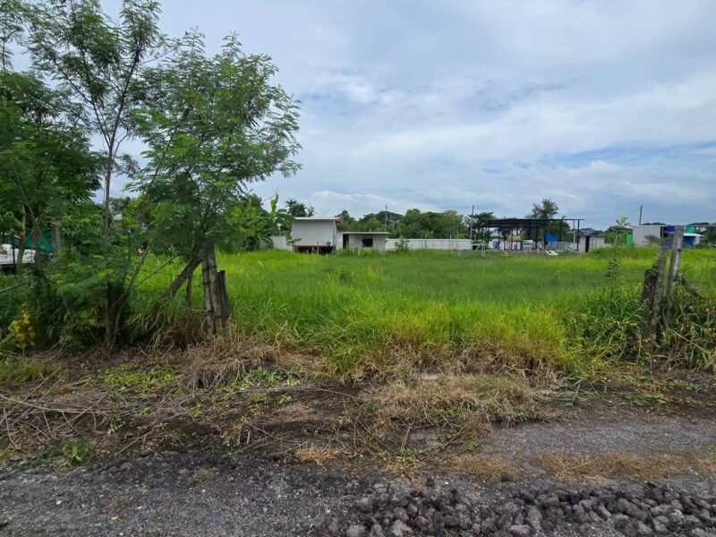 ขายด่วนที่ดิน 300 ตรว ติดถนนสาธารณะ 2 ด้าน ซ.บุญไพศาล1 คลอง 9 หนองเสือ ปทุมธานี