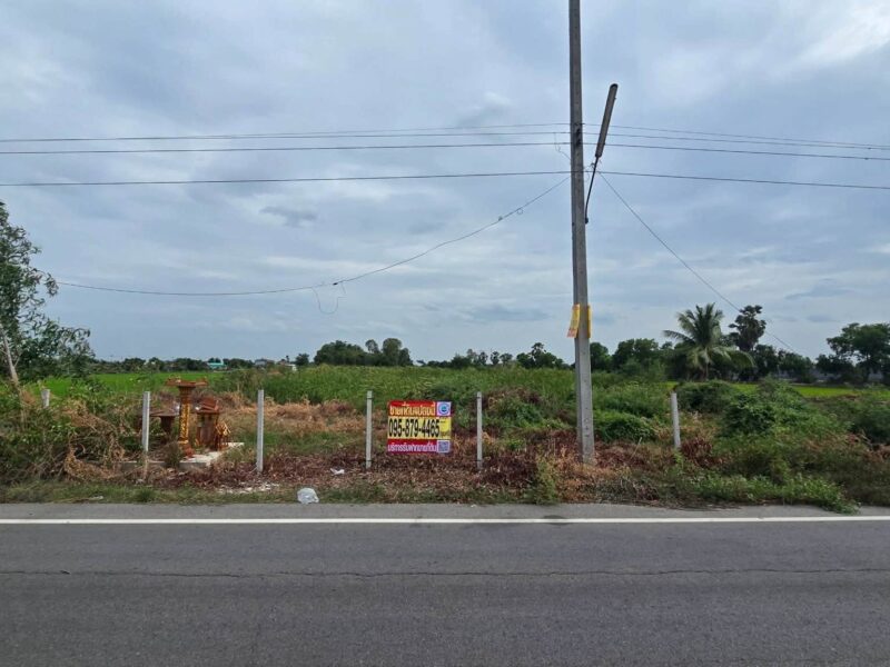 ขายด่วนที่ดินใกล้วัดไผ่หูช้าง 6-3-9 ไร่ ติดถนนลาดยางสาธารณะ บางเลน นครปฐม