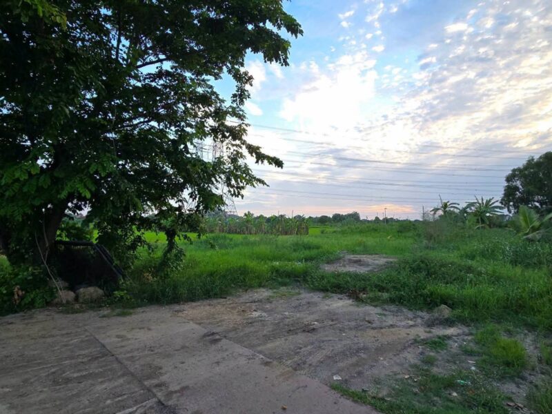 ขายด่วนที่ดินใกล้รร.บ้านคลองฝรั่ง 355 ตรว ติดถนนสาธารณะ ถมแล้ว ซ.รร.บ้านคลองฝรั่ง ไทรน้อย นนทบุรี