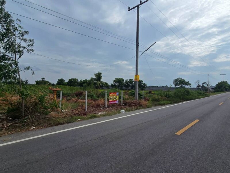 ขายด่วนที่ดินใกล้วัดไผ่หูช้าง 6-3-9 ไร่ ติดถนนลาดยางสาธารณะ บางเลน นครปฐม