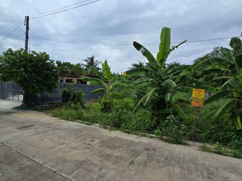 ขายด่วนที่ดินใกล้เซ็นทรัลศาลายา 121 ตรว ติดถนนสาธารณะ หมู่บ้านกวินทิพย์ สามพราน นครปฐม