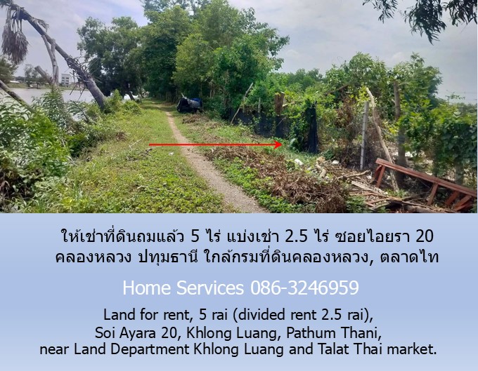 ให้เช่าที่ดินถมแล้ว 5 ไร่ แบ่งเช่า 2.5 ไร่ ซอยไอยรา 20 คลองหลวง ปทุมธานี ใกล้กรมที่ดินคลองหลวง, ตลาดไท