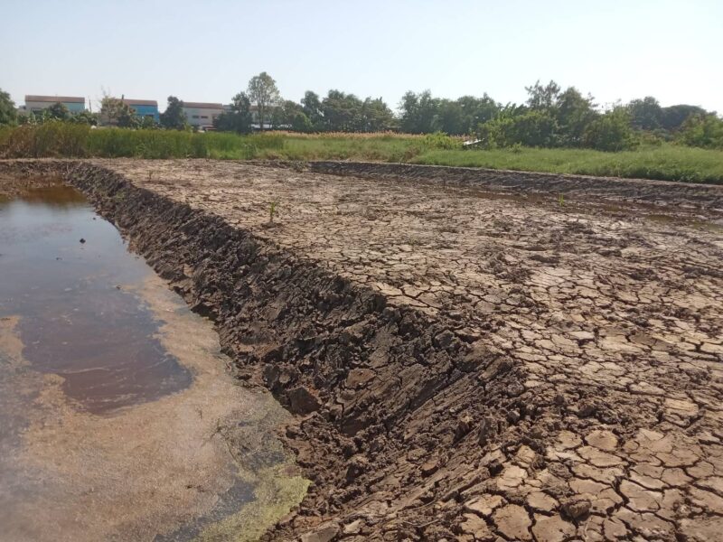 ขายที่ดินเปล่า 525 ตรว. ห่างจากถนนคอนกรีตเพียง 200 เมตร ตรงข้ามหมู่บ้านสิวารมย์ 1 อยู่ในซอยเทศบาลบางปู 83