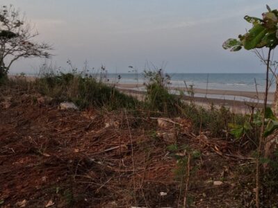 แนะนำซื้อขายอสังหาดีดี ที่ติดทะเลหาดผาแดงฝั่งแดง ประจวบ ดูแลหลังการขาย โฉนดพร้อมโอน บางสะพานน้อยที่ริมเล