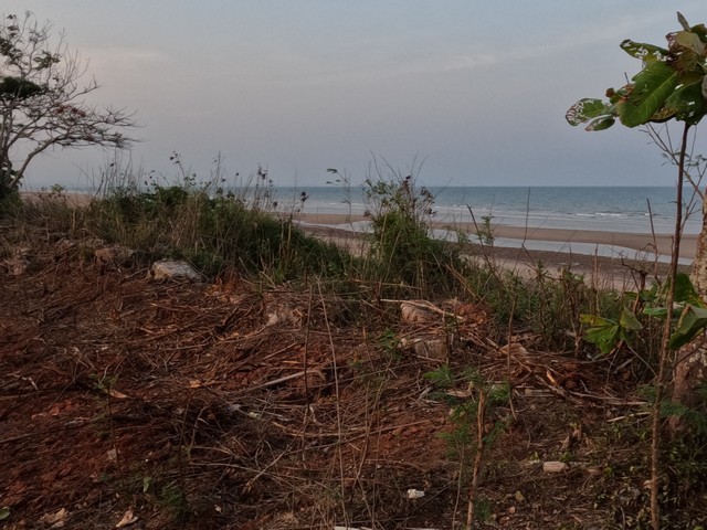 แนะนำซื้อขายอสังหาดีดี ที่ติดทะเลหาดผาแดงฝั่งแดง ประจวบ ดูแลหลังการขาย โฉนดพร้อมโอน บางสะพานน้อยที่ริมเล
