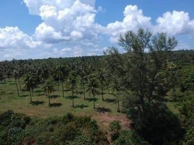 ใครมองที่อยากได้แบบถูกใจนี่ค่ะ ที่ติดทะเลหาดผาแดงฝั่งแดง ประจวบ ดูแลหลังการขาย โฉนดพร้อมโอน บางสะพานน้อยที่ริมเล