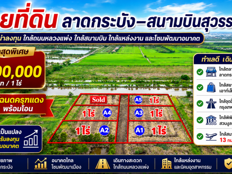 ขายที่ดิน ถ.หลวงแพ่ง ใกล้Siam Premium Outlets เพียง 3 กม. (ซอยติดกับตลาดเทิดไท-สี่แยกลำต้อยติ่ง)