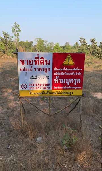 ด่วน! ขายถูกมาก ที่ดินพิบูลมังสาหาร 5 ไร่กว่า แค่ 8 แสน!